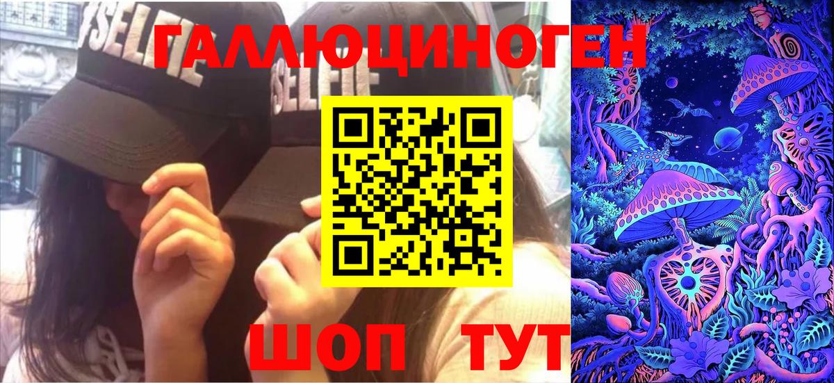 Псилоцибиновые грибы Psilocybine cubensis Иваново