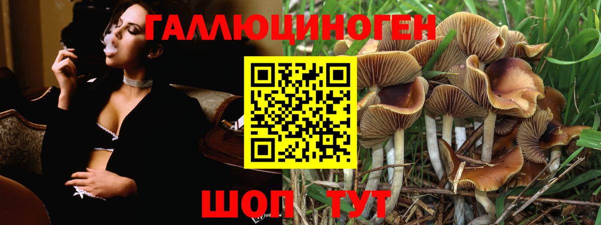 Иваново  Псилоцибиновые грибы мицелий  Вход с VPN  Псилоцибиновые грибы ЛСД 